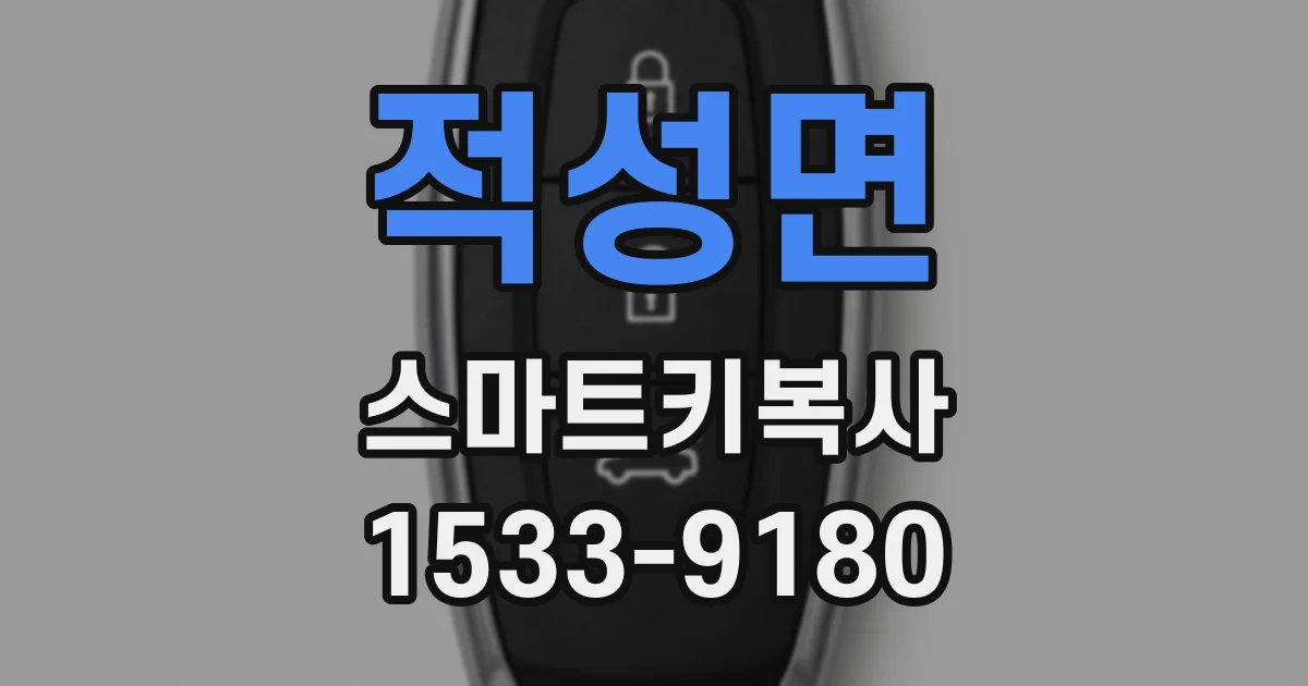 적성면 스마트키복사