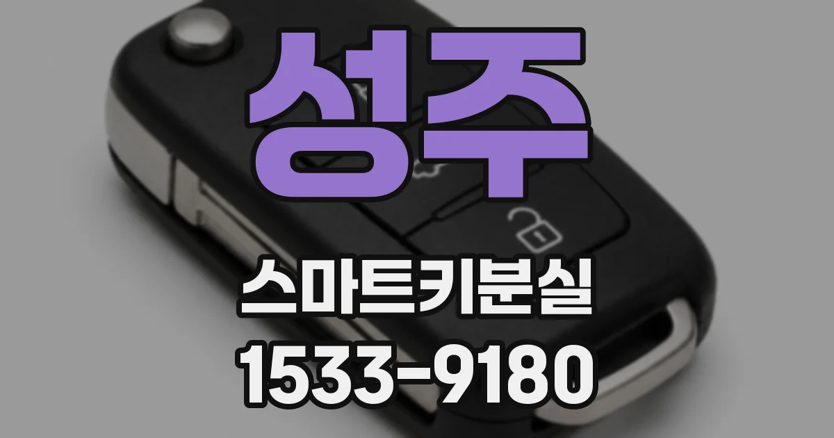 성주 스마트키분실