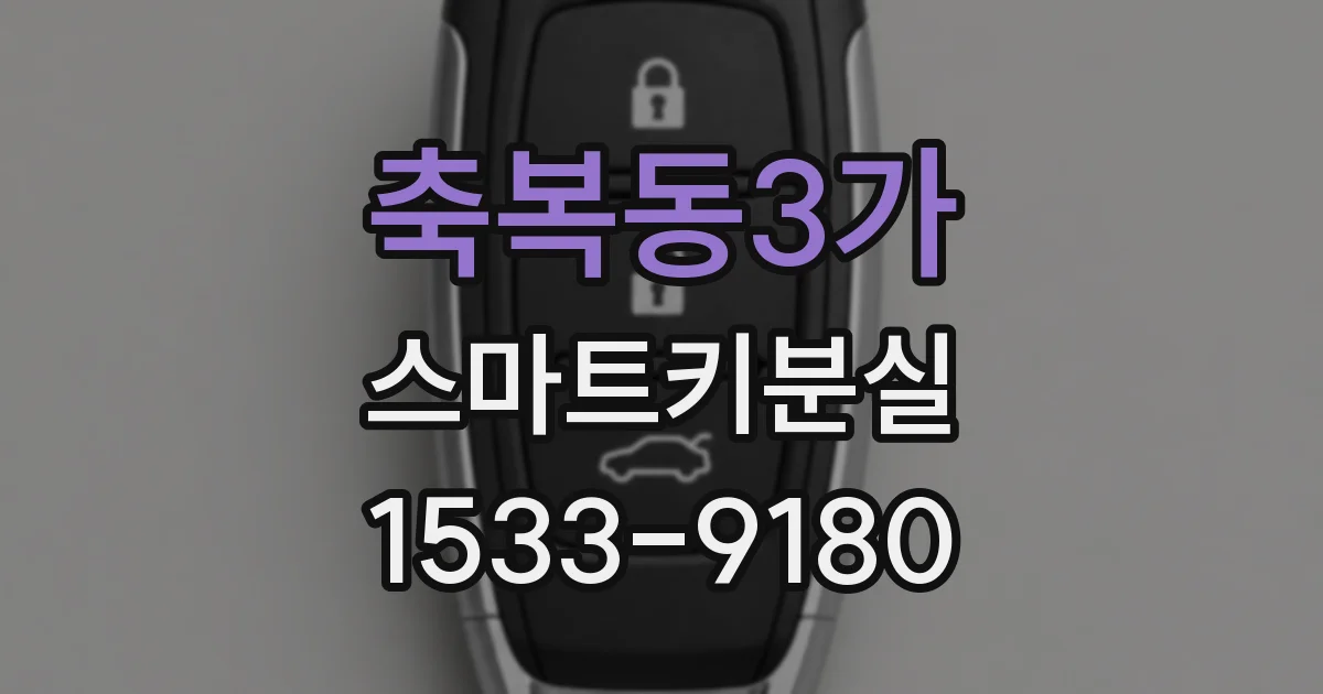 축복동3가 스마트키분실