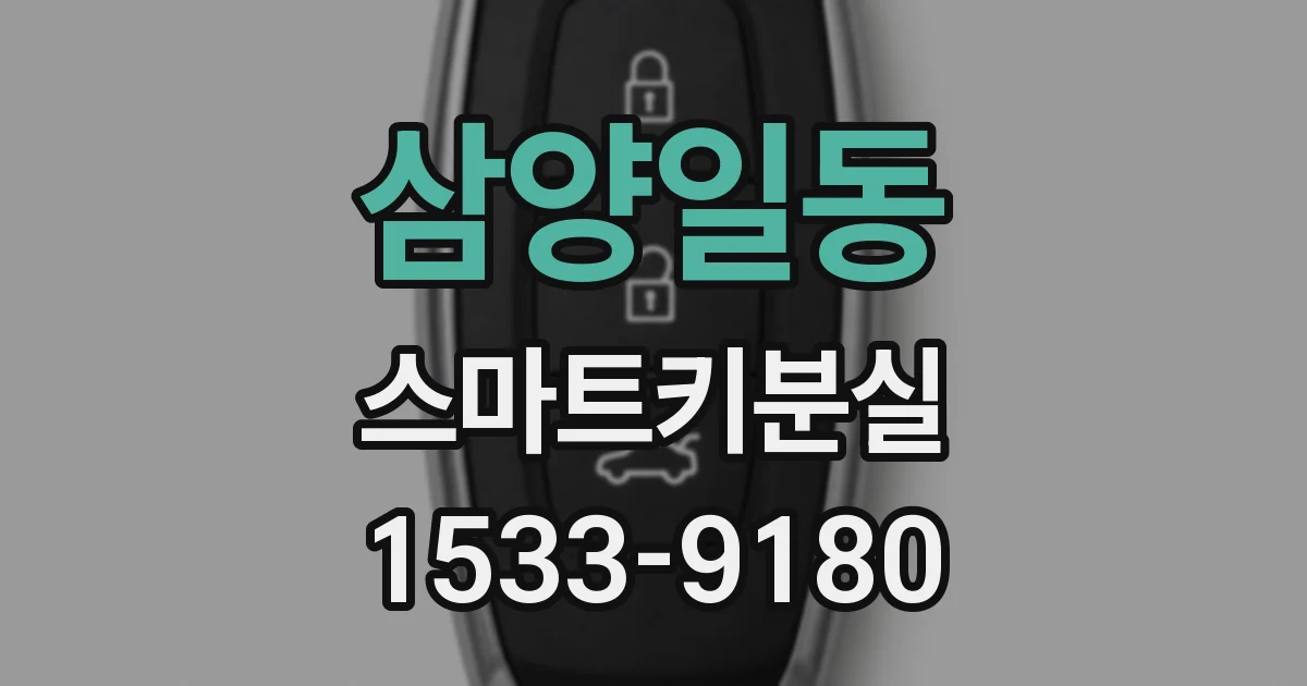 삼양일동 스마트키분실