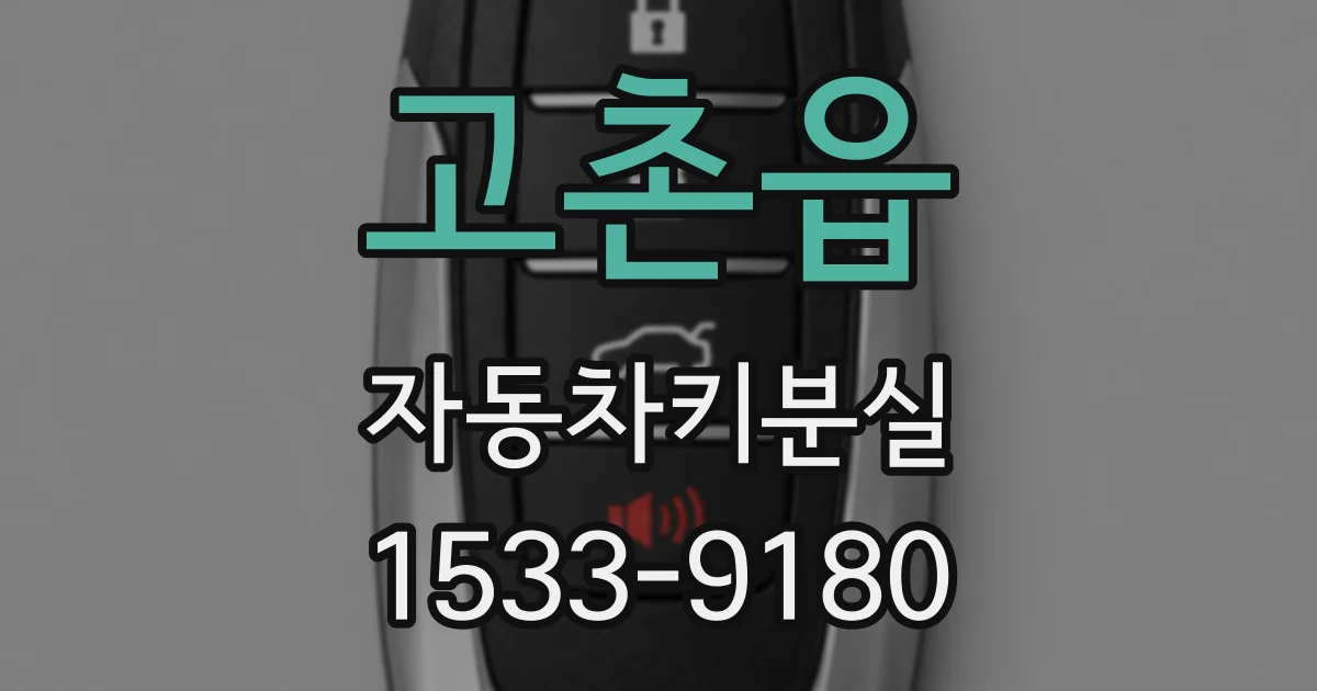 고촌읍 자동차키분실
