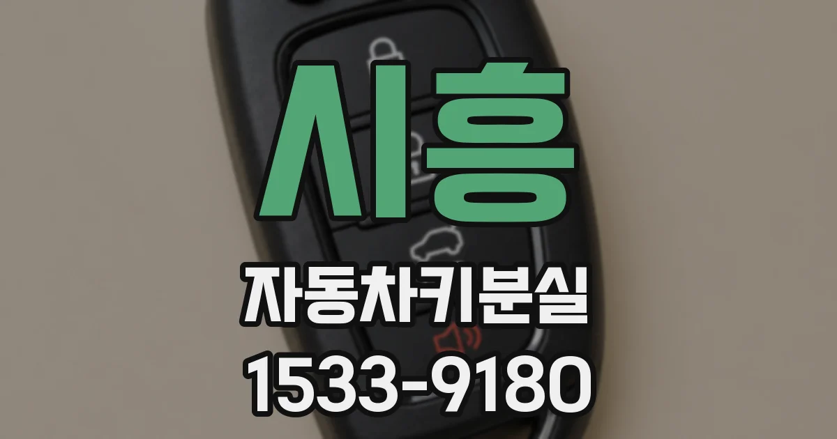 시흥 자동차키분실