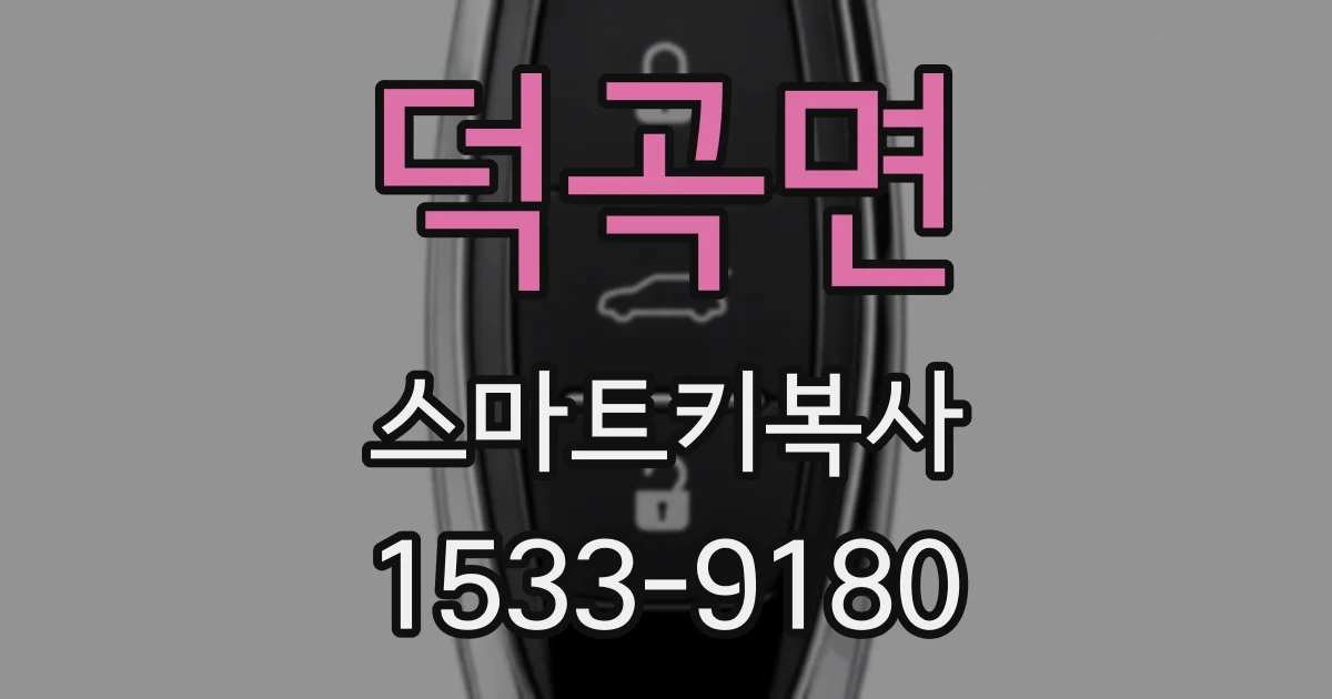 덕곡면 스마트키복사