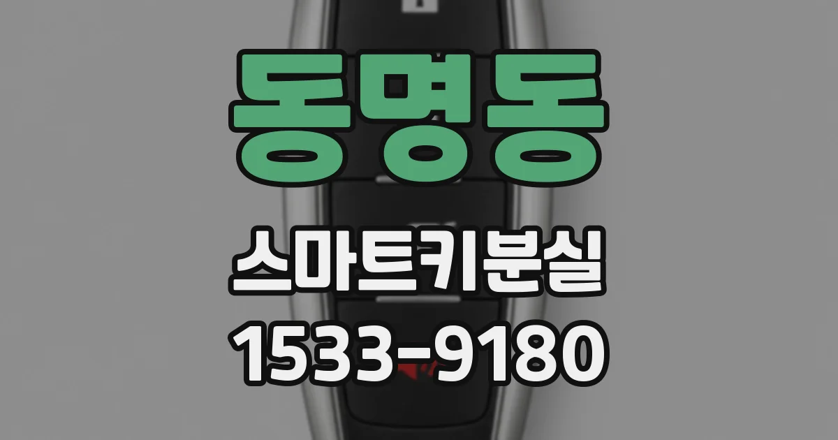 동명동 스마트키분실