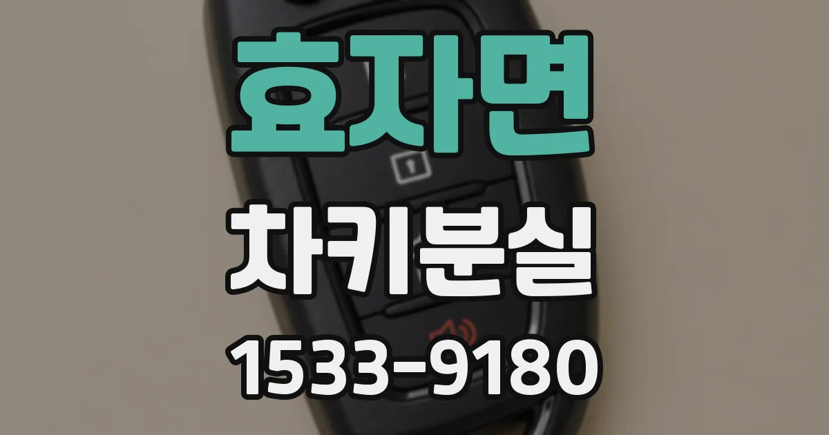 효자면 차키분실