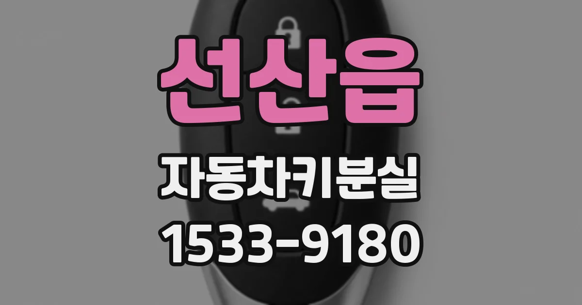 선산읍 자동차키분실