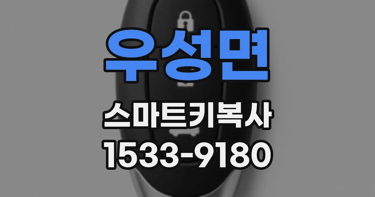 우성면 스마트키복사