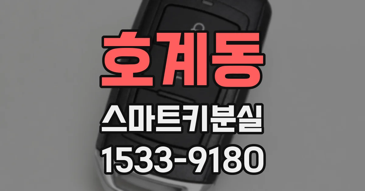 호계동 스마트키분실