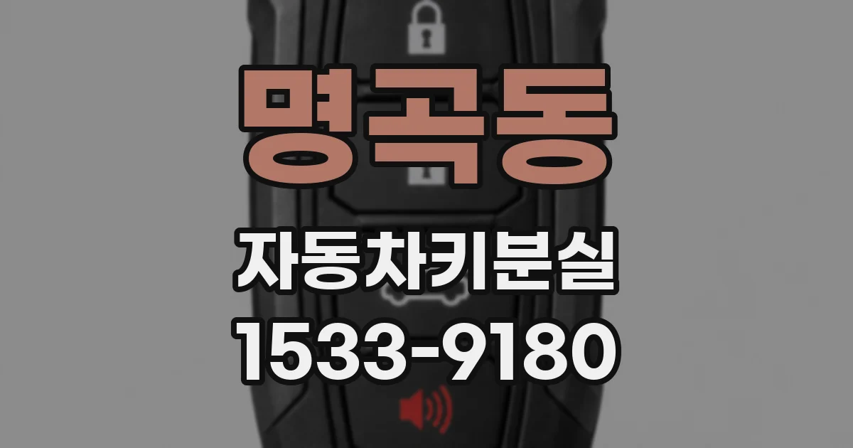 명곡동 자동차키분실