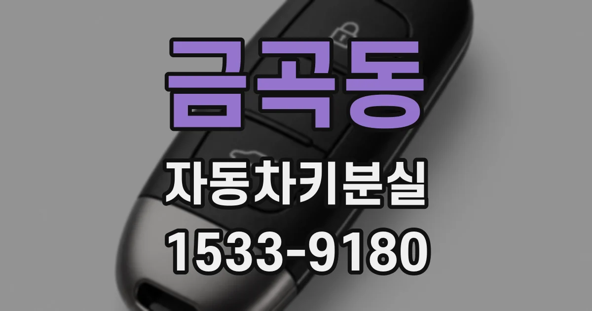 금곡동 자동차키분실