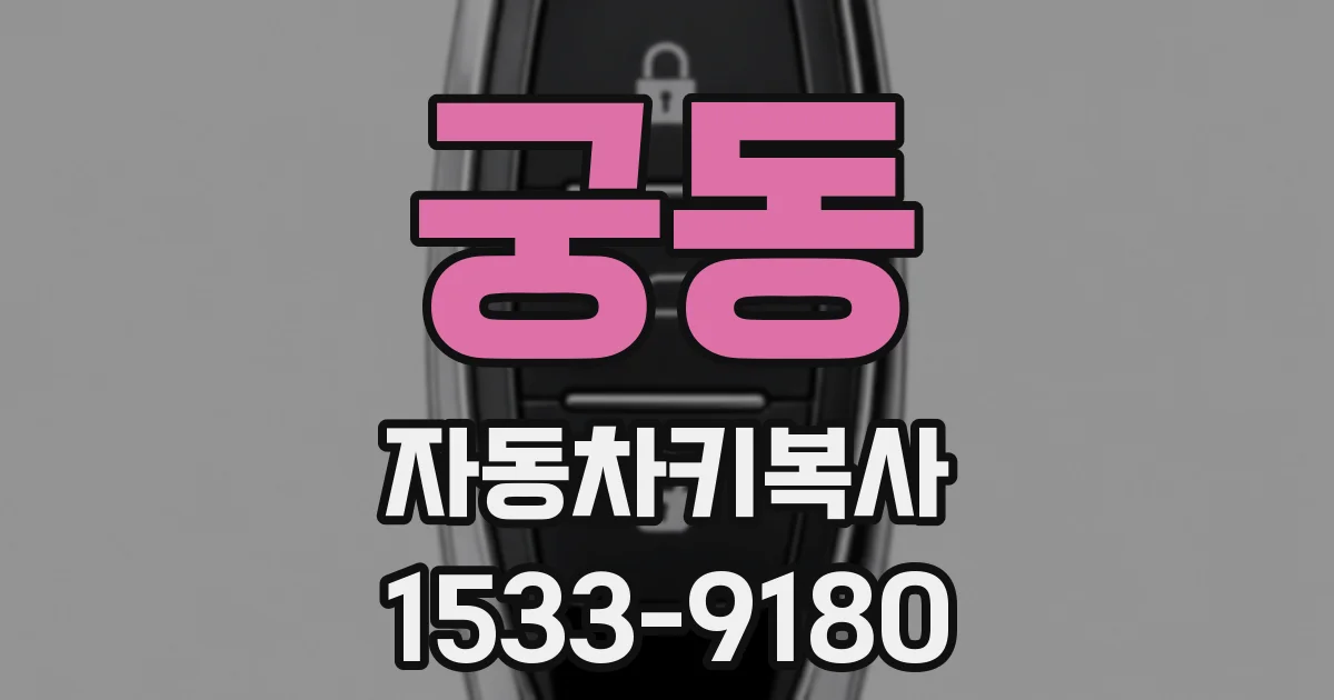 궁동 자동차키복사