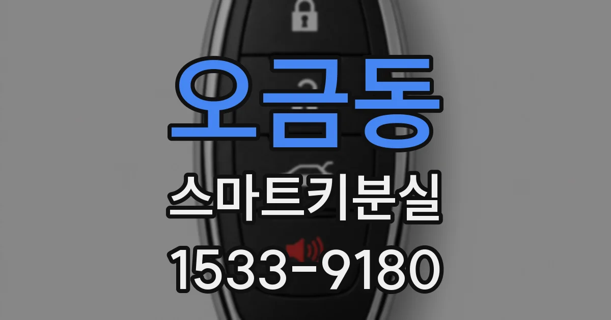 오금동 스마트키분실