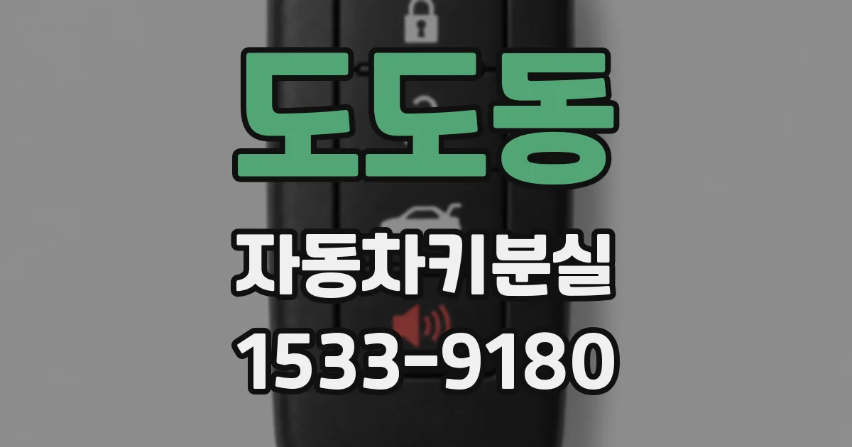 도도동 자동차키분실
