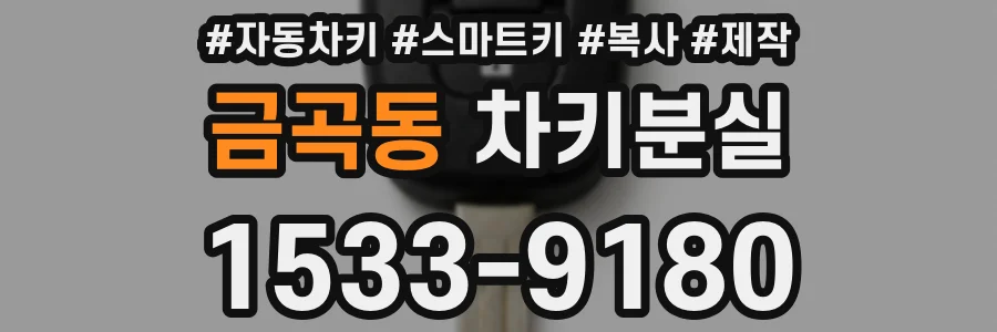 금곡동 차키분실