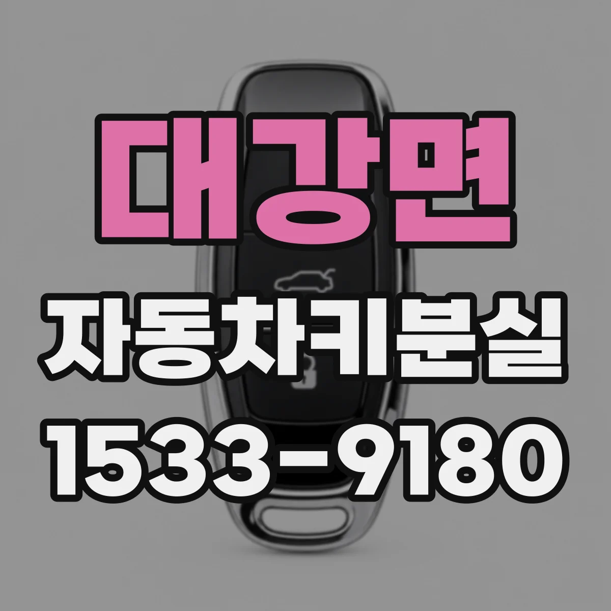 대강면 자동차키분실