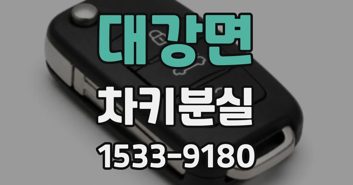 대강면 차키분실
