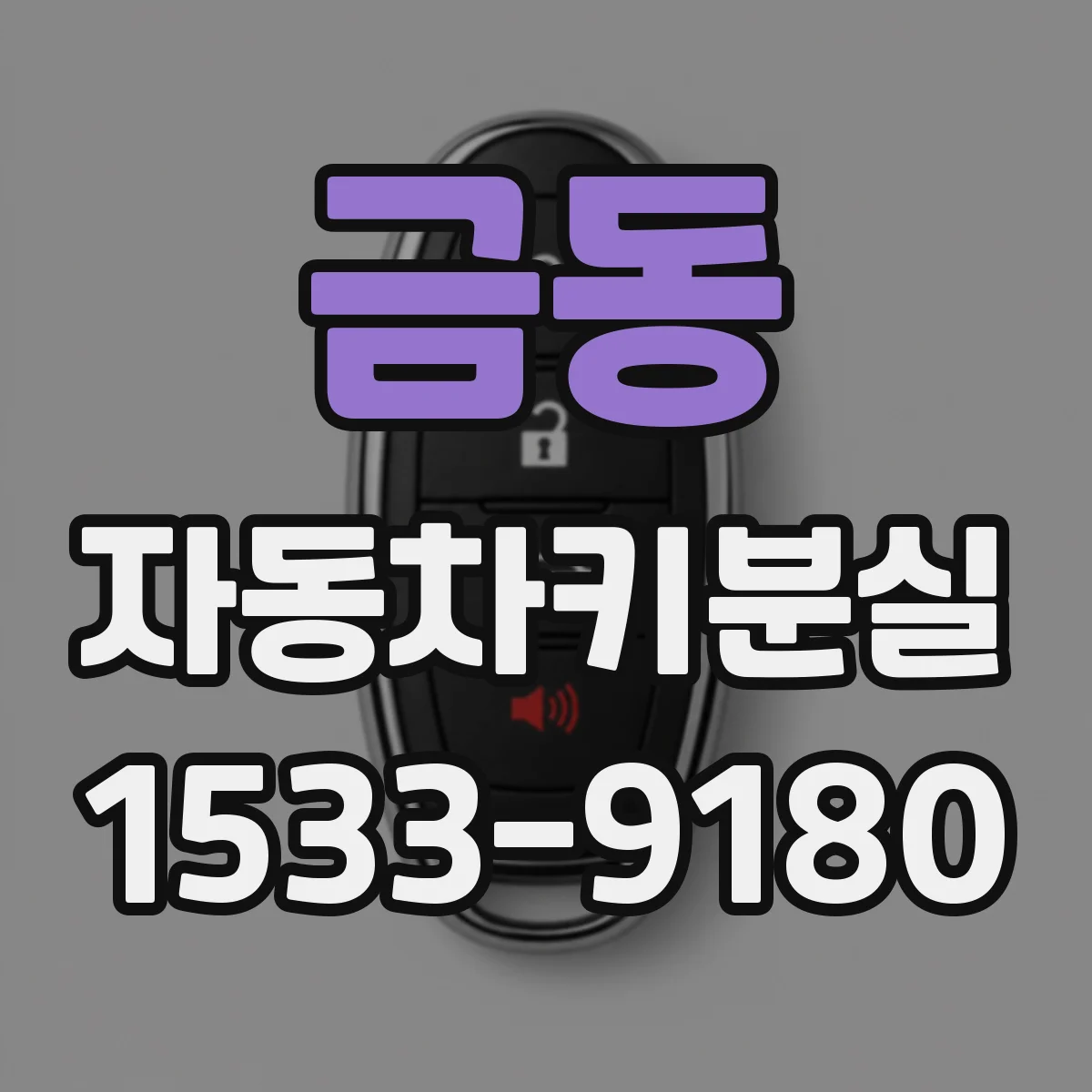 금동 자동차키분실