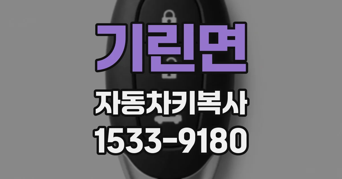 기린면 자동차키복사