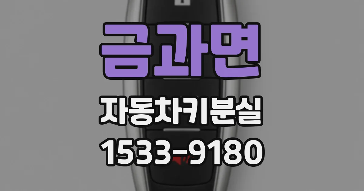 금과면 자동차키분실