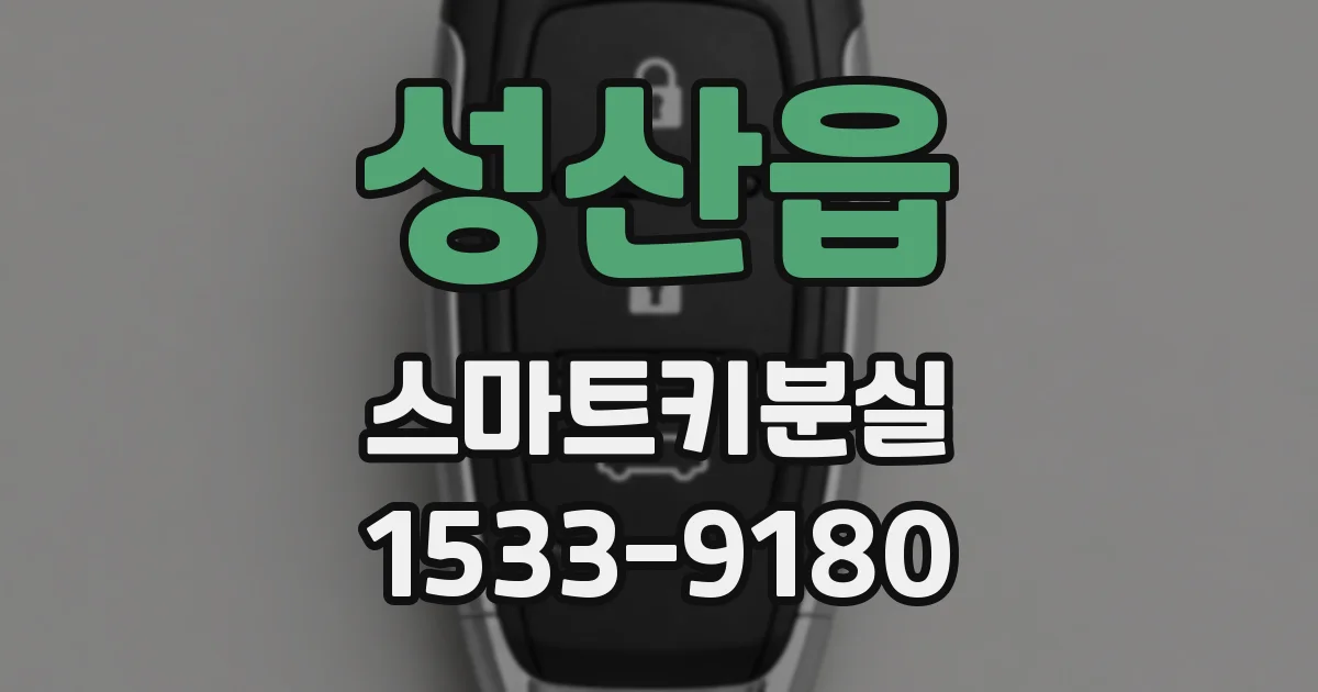 성산읍 스마트키분실