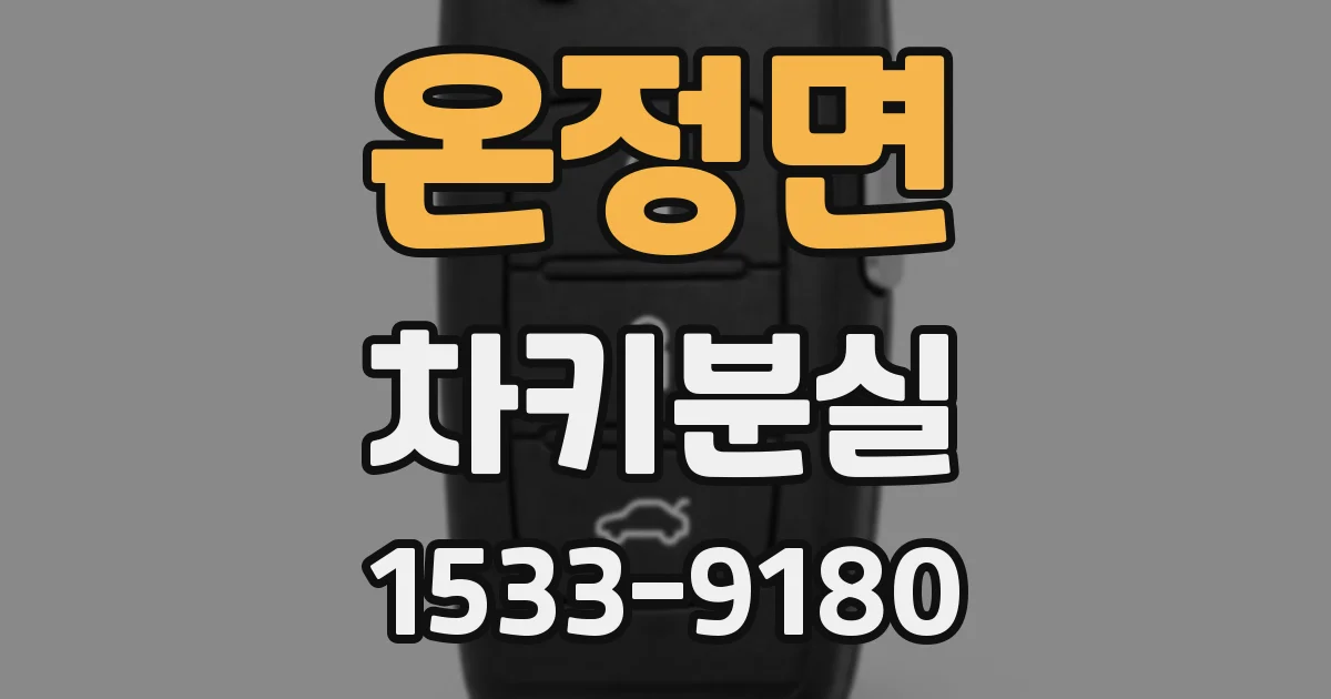 온정면 차키분실