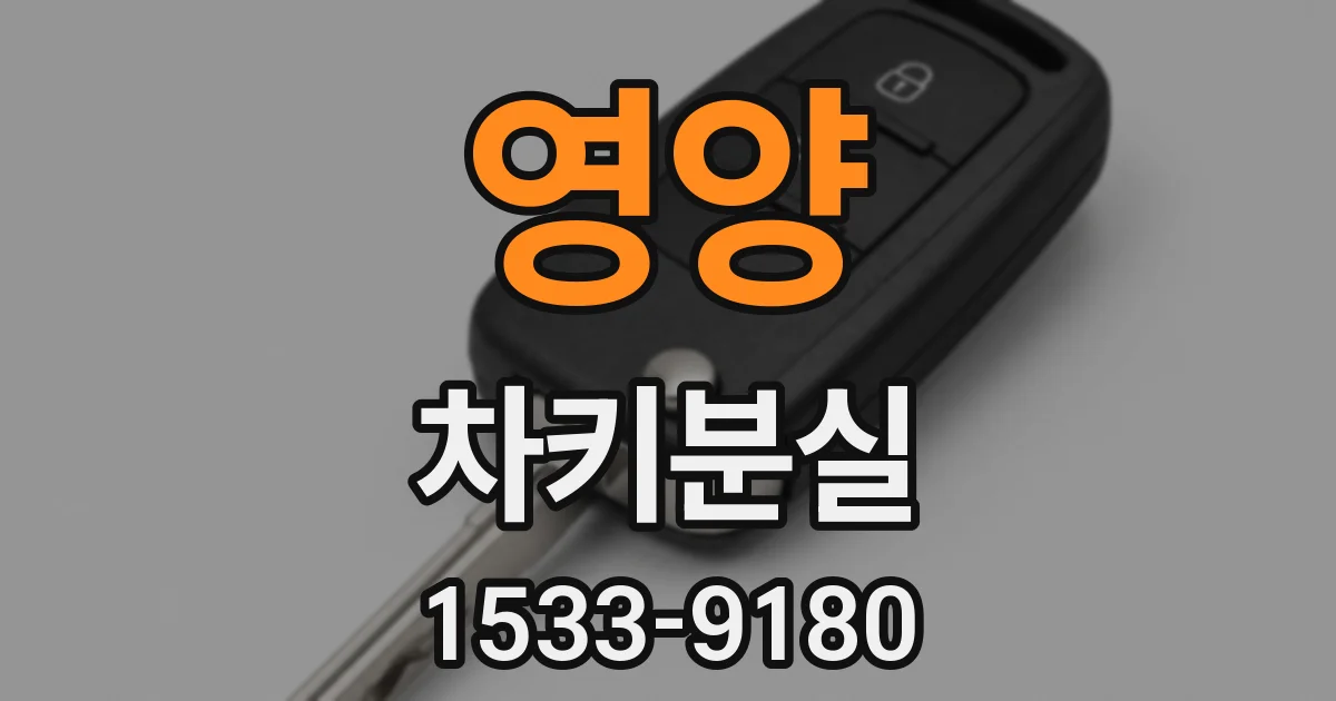 영양 차키분실