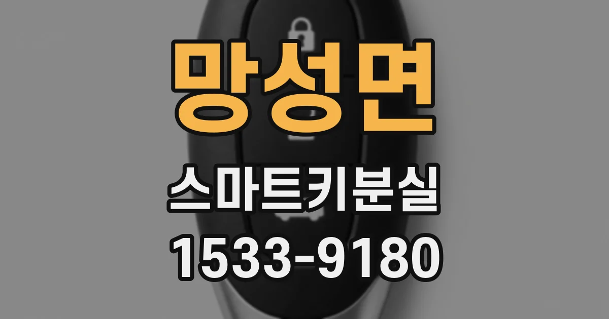 망성면 스마트키분실