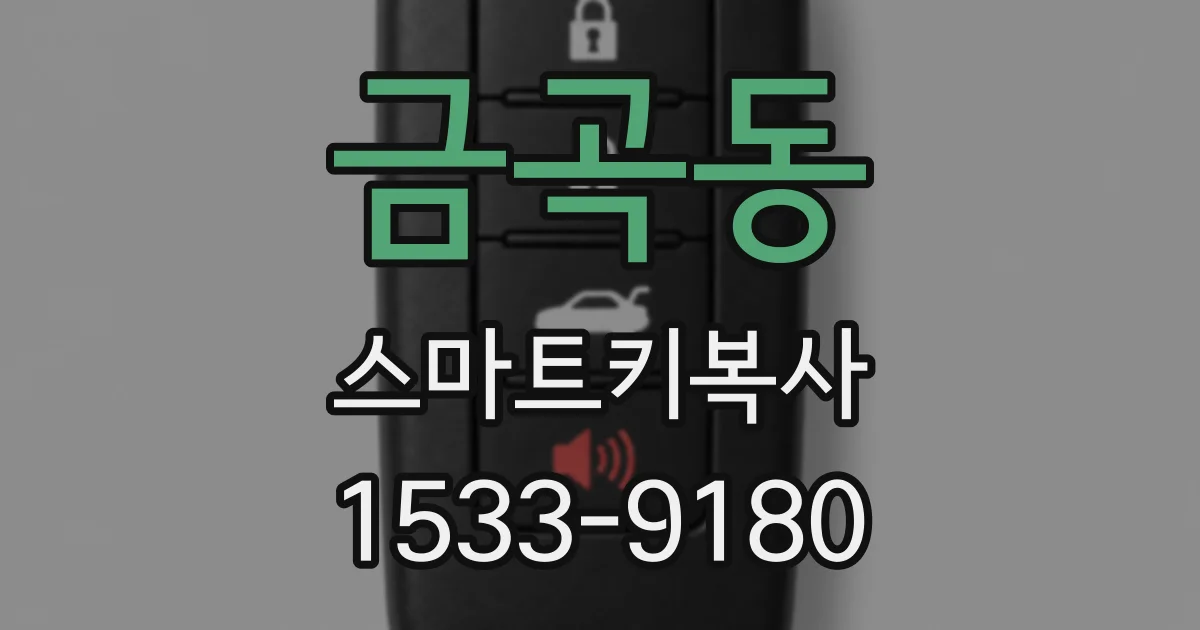 금곡동 스마트키복사