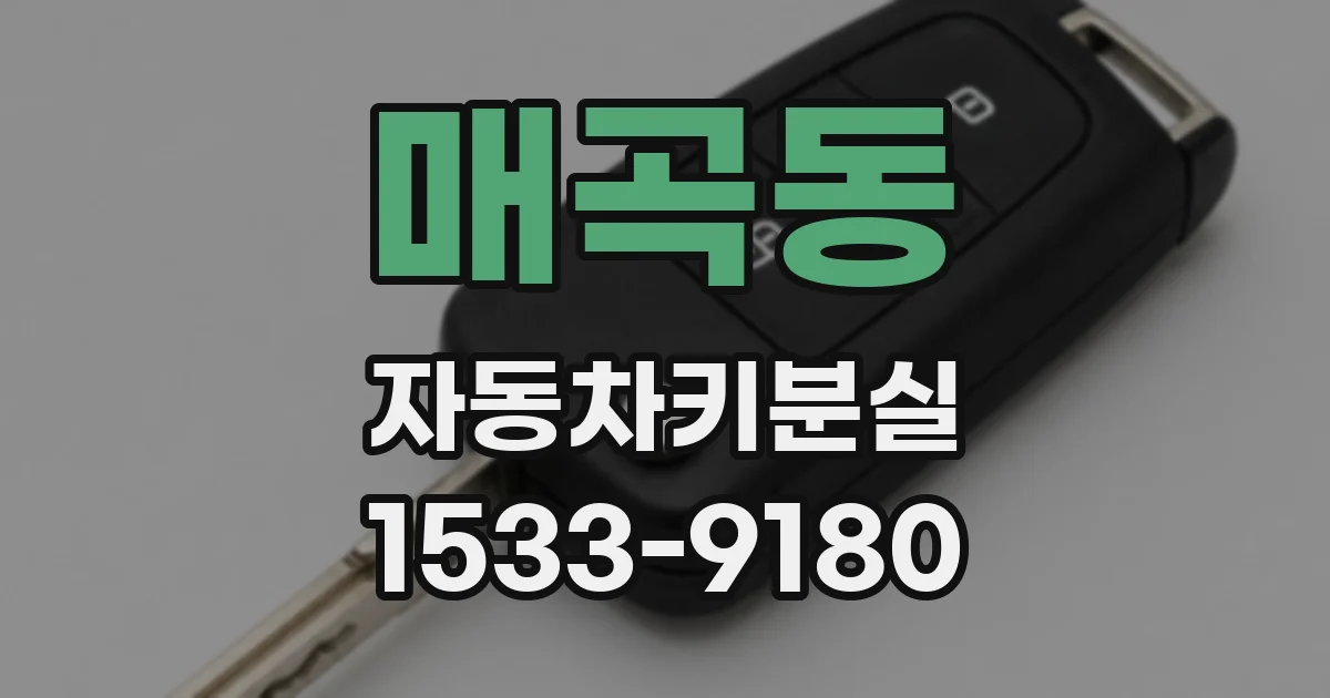 매곡동 자동차키분실