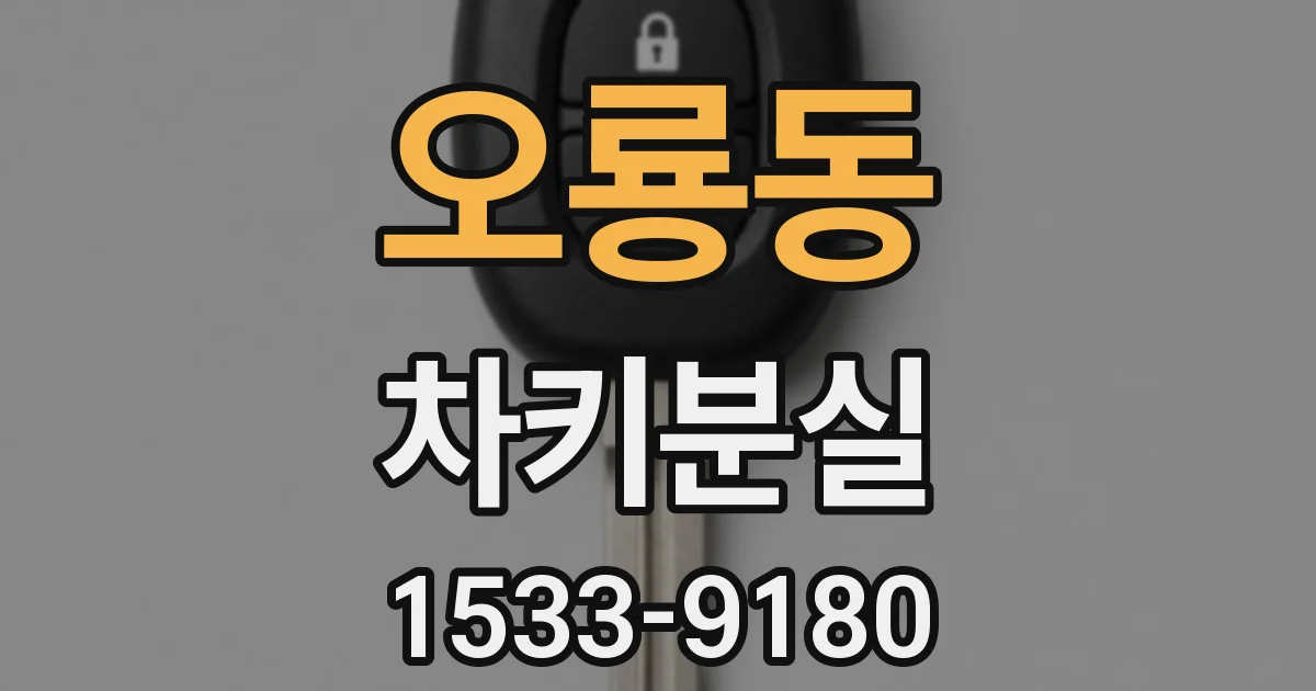 오룡동 차키분실