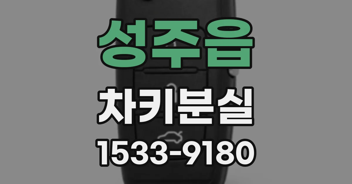 성주읍 차키분실