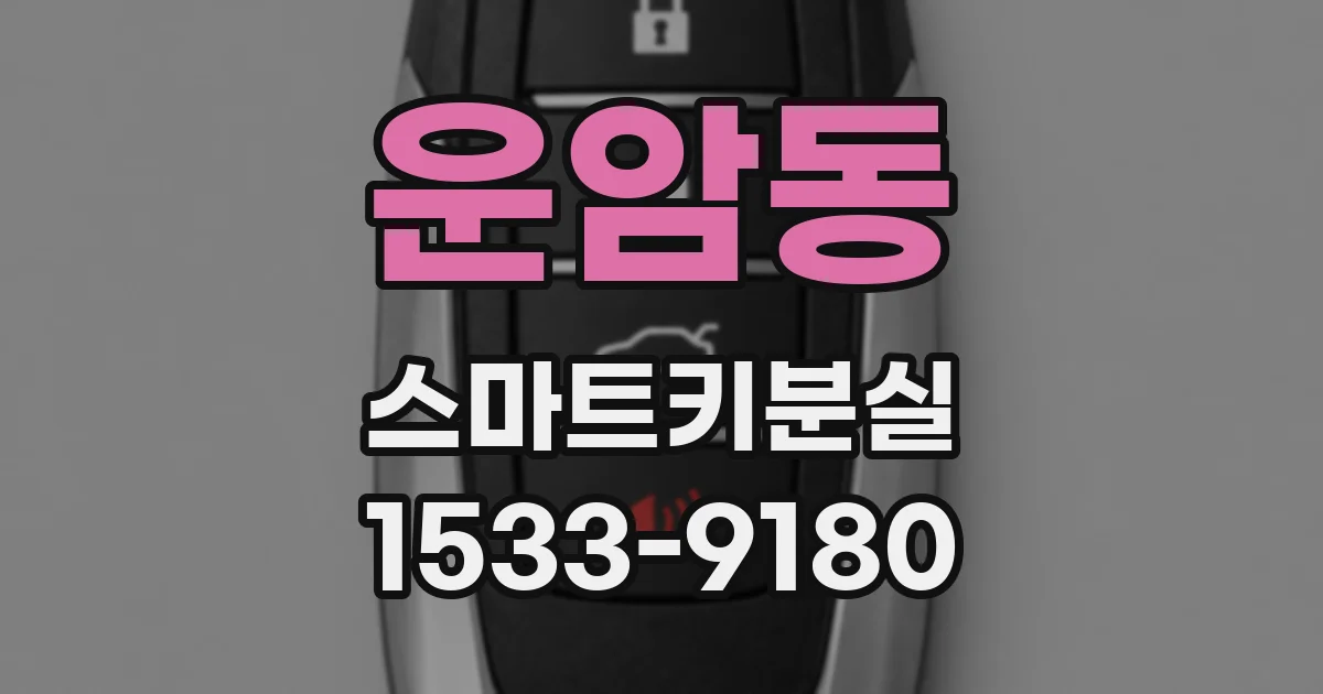 운암동 스마트키분실