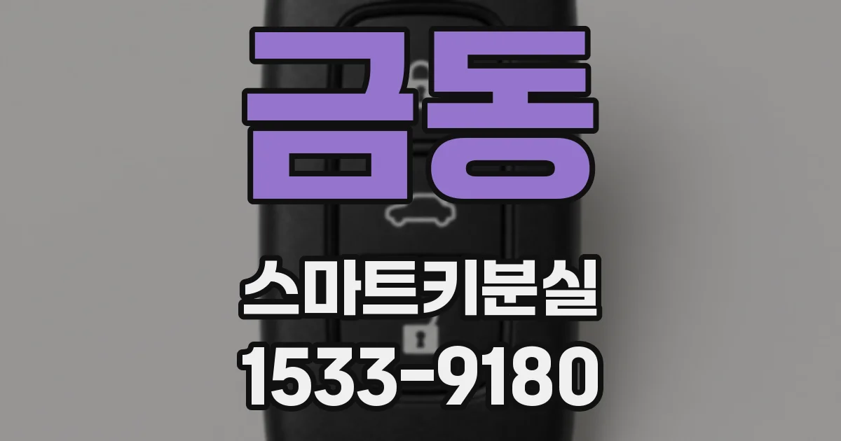 금동 스마트키분실