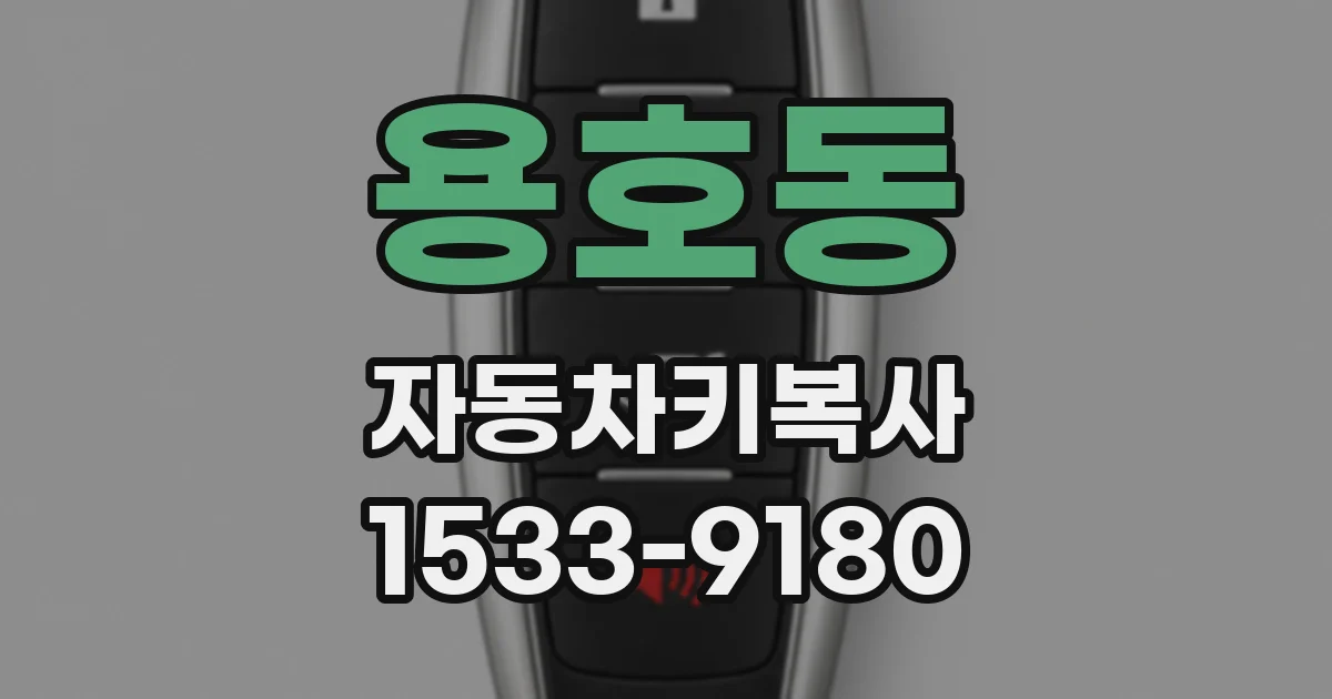 용호동 자동차키복사