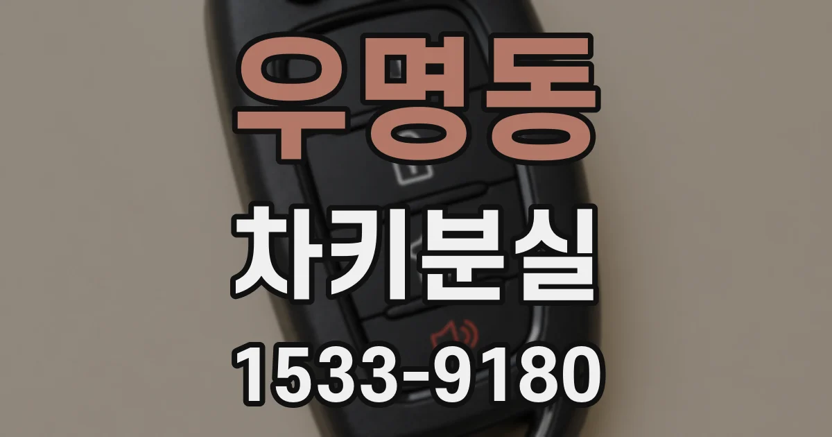 우명동 차키분실