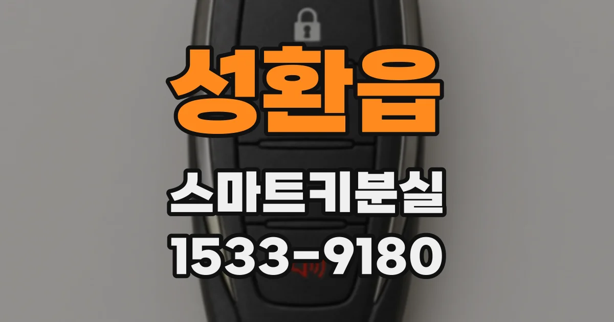 성환읍 스마트키분실