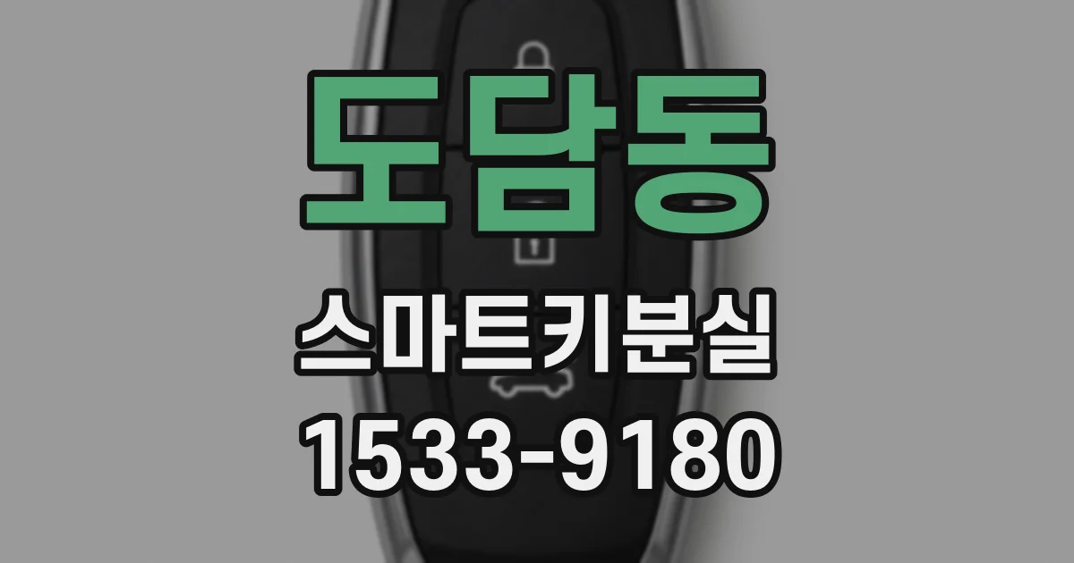 도담동 스마트키분실
