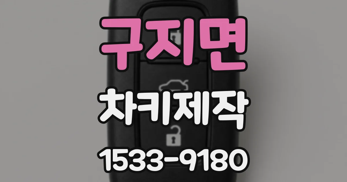 구지면 차키제작