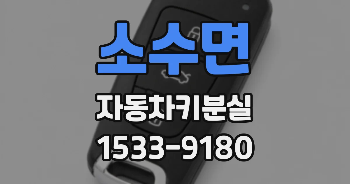 소수면 자동차키분실