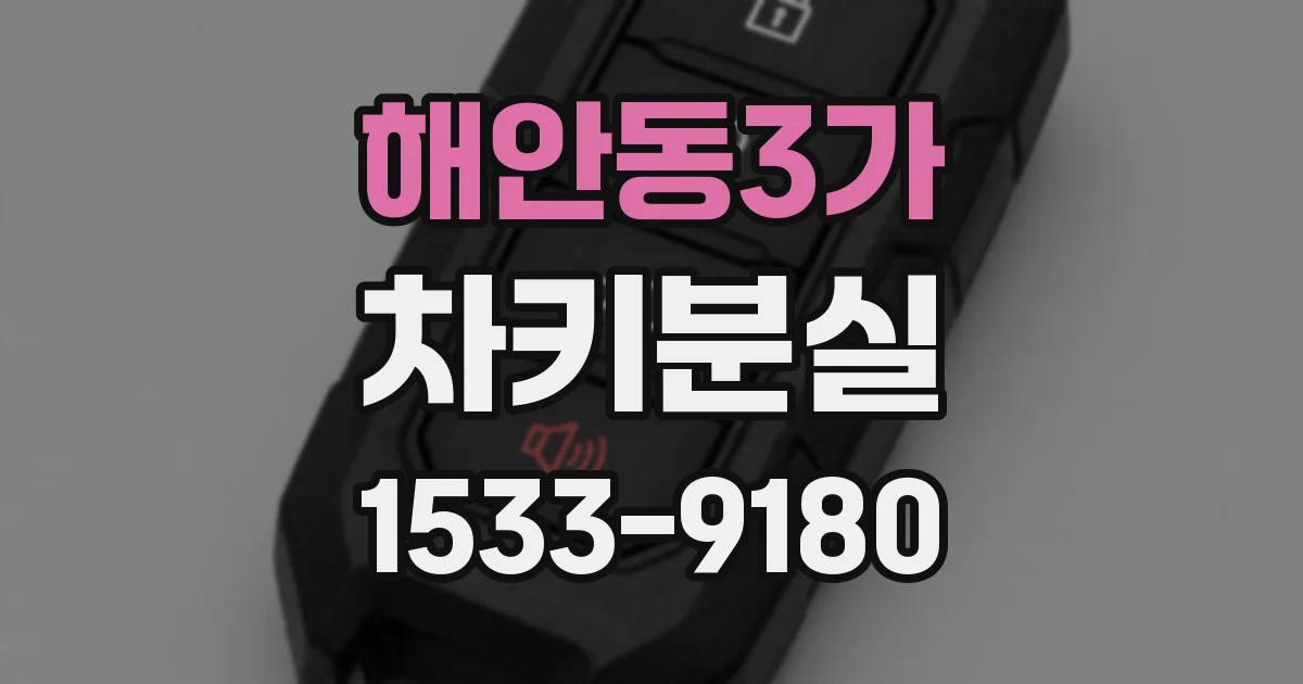 해안동3가 차키분실