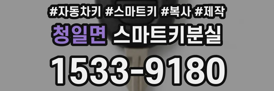 청일면 스마트키분실