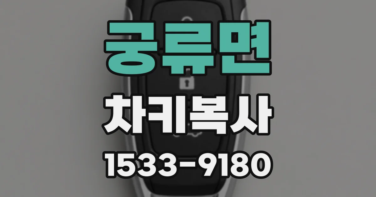 궁류면 차키복사