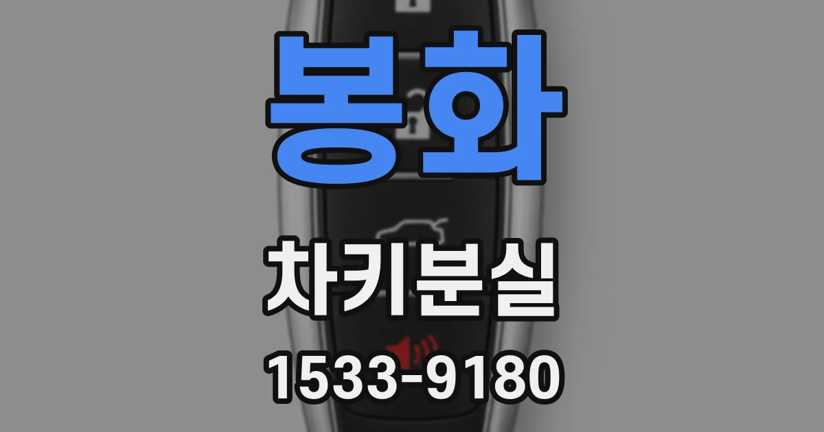 봉화 차키분실