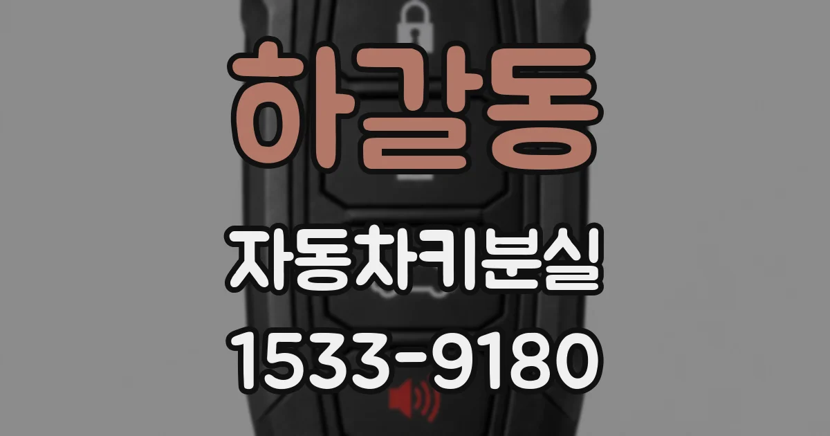 하갈동 자동차키분실