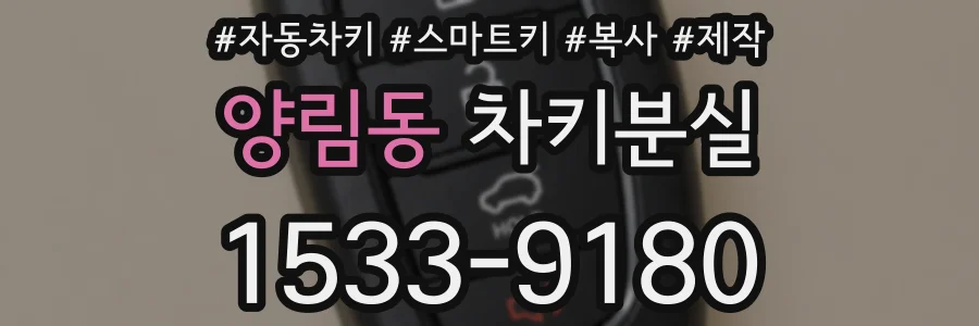 양림동 차키분실