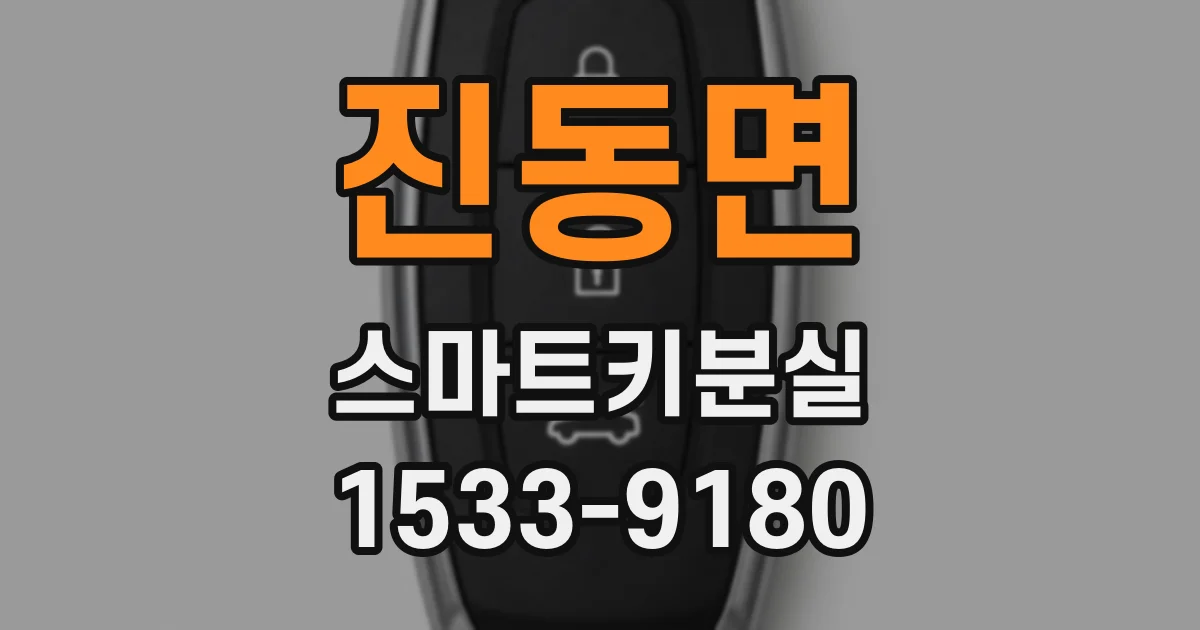 진동면 스마트키분실