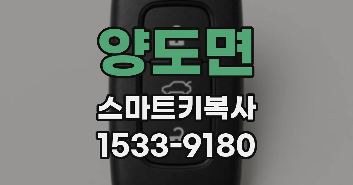 양도면 스마트키복사