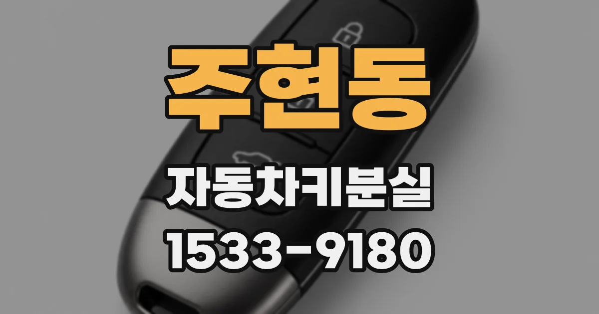 주현동 자동차키분실