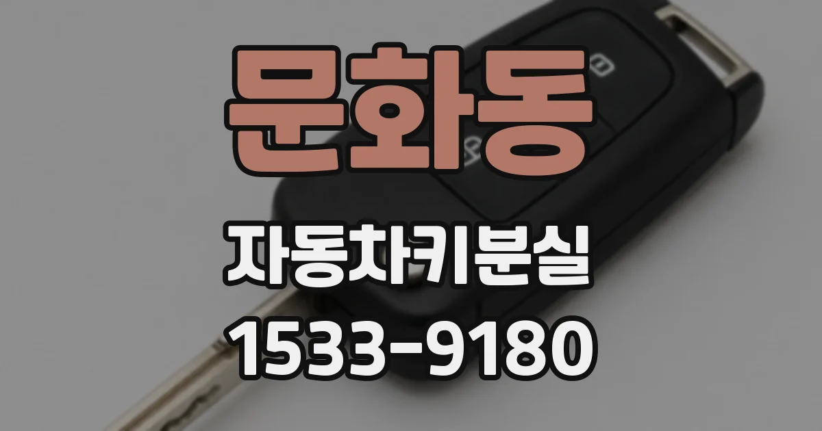 문화동 자동차키분실