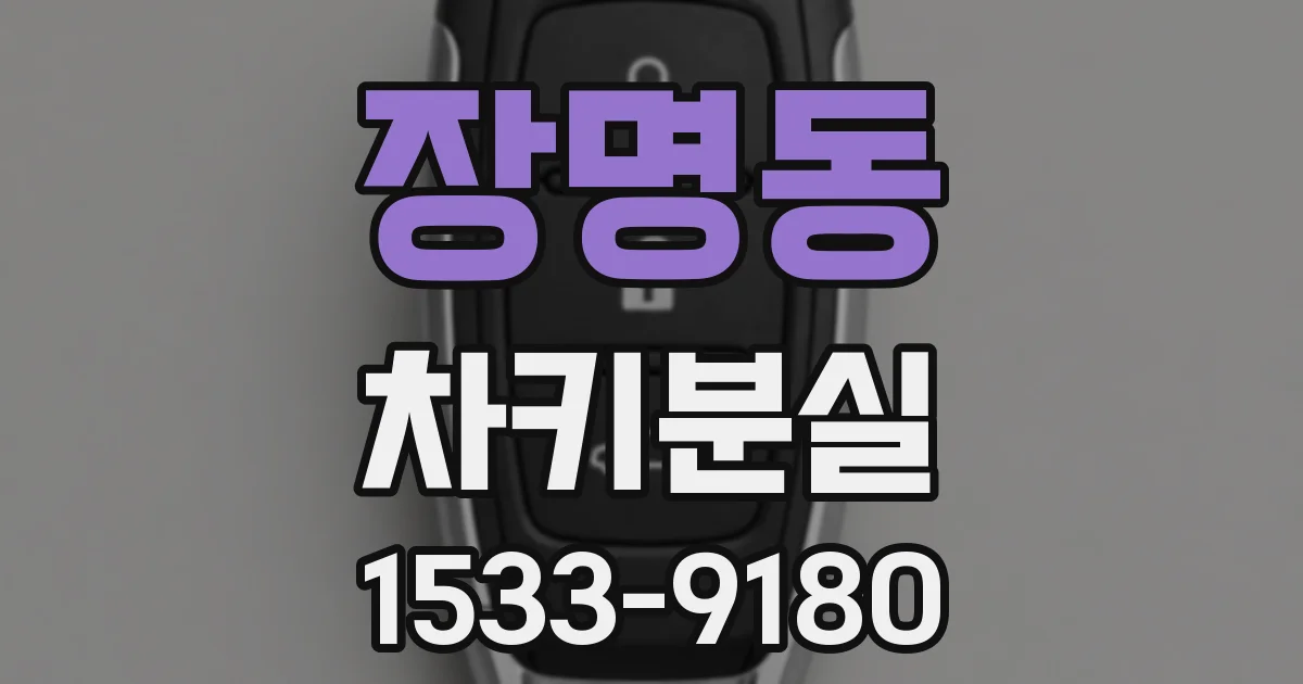 장명동 차키분실